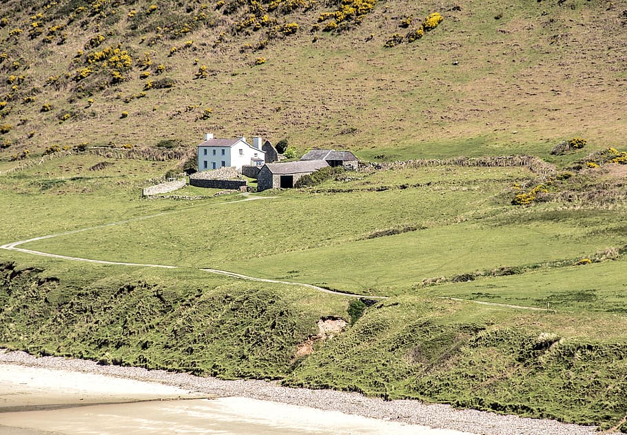 seashore, cottage, remote, landscape, transportation, plant HD wallpaper