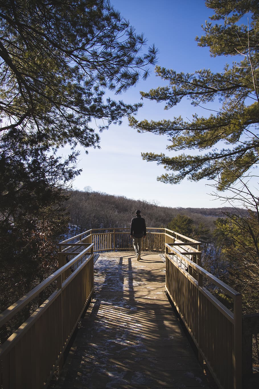 trees, wilderness, forest, woods, person, lookout, midwest HD wallpaper