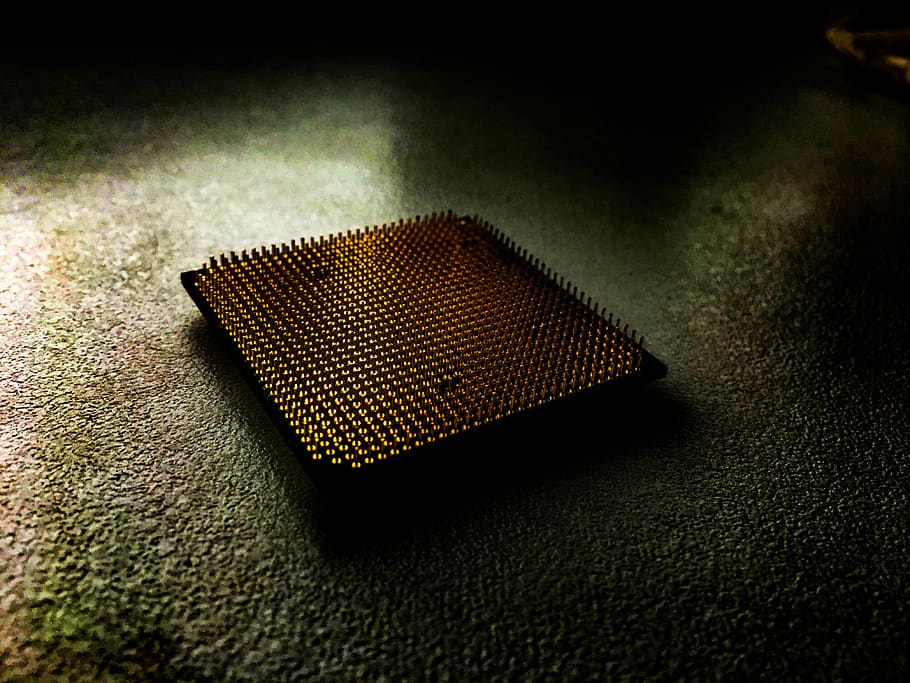 moss, gold, processor, hardware, cpu, indoors, close-up, no people HD wallpaper