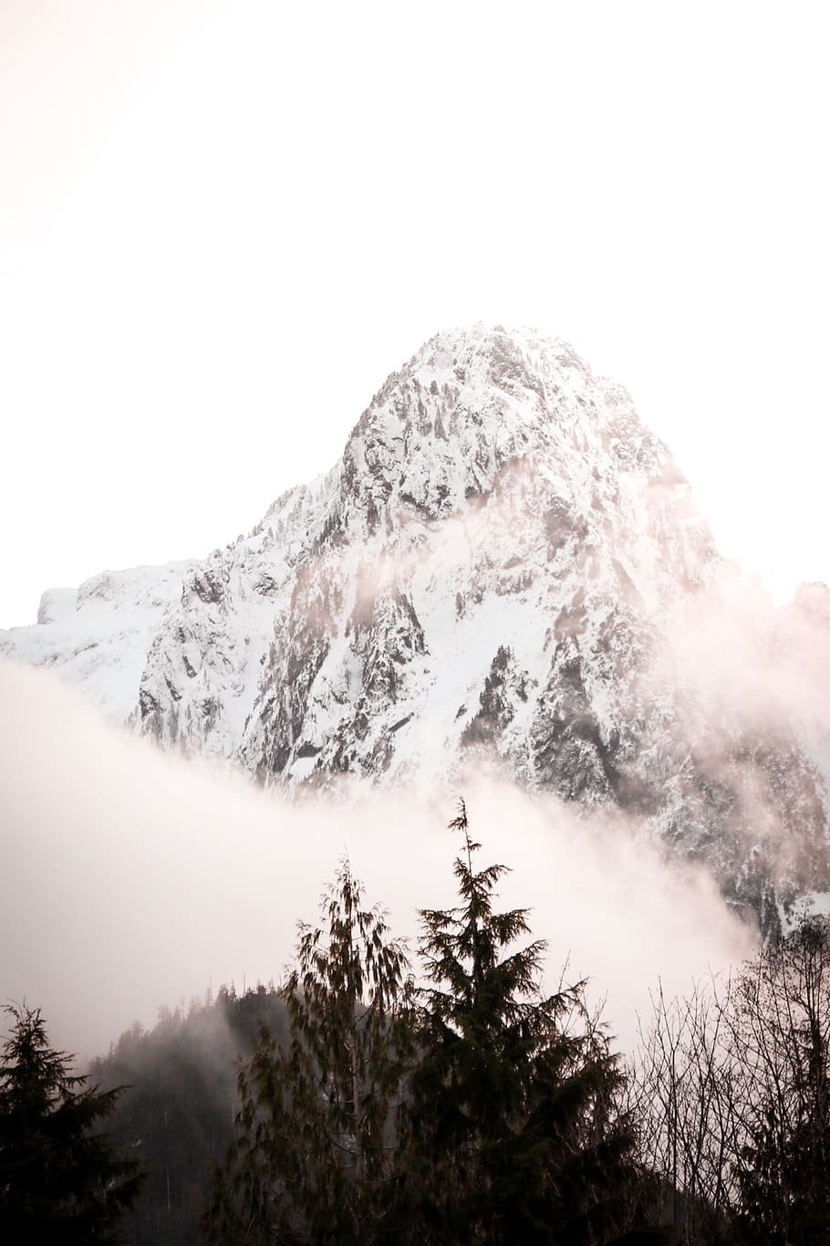 snow mountain, beauty in nature, tree, sky, cold temperature HD wallpaper