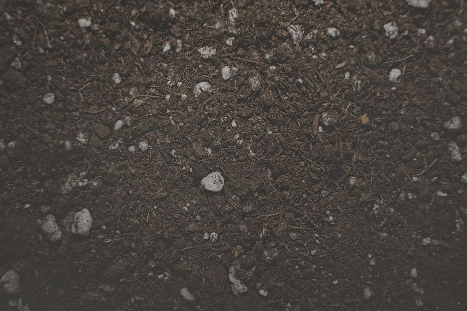 soil, dirt, texture, earth, fertilizer, dark, background, textured background, HD wallpaper