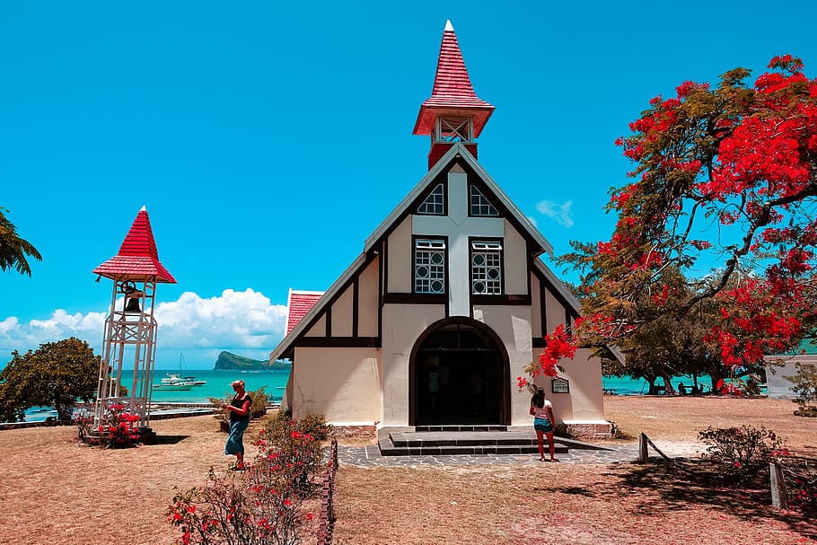 mauritius, cap malheureux, sea, island, red, flamboyant, bell, HD wallpaper