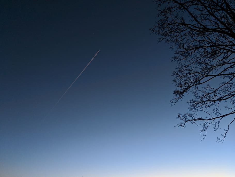sky, low angle view, blue, vapor trail, clear sky, tree, no people HD wallpaper