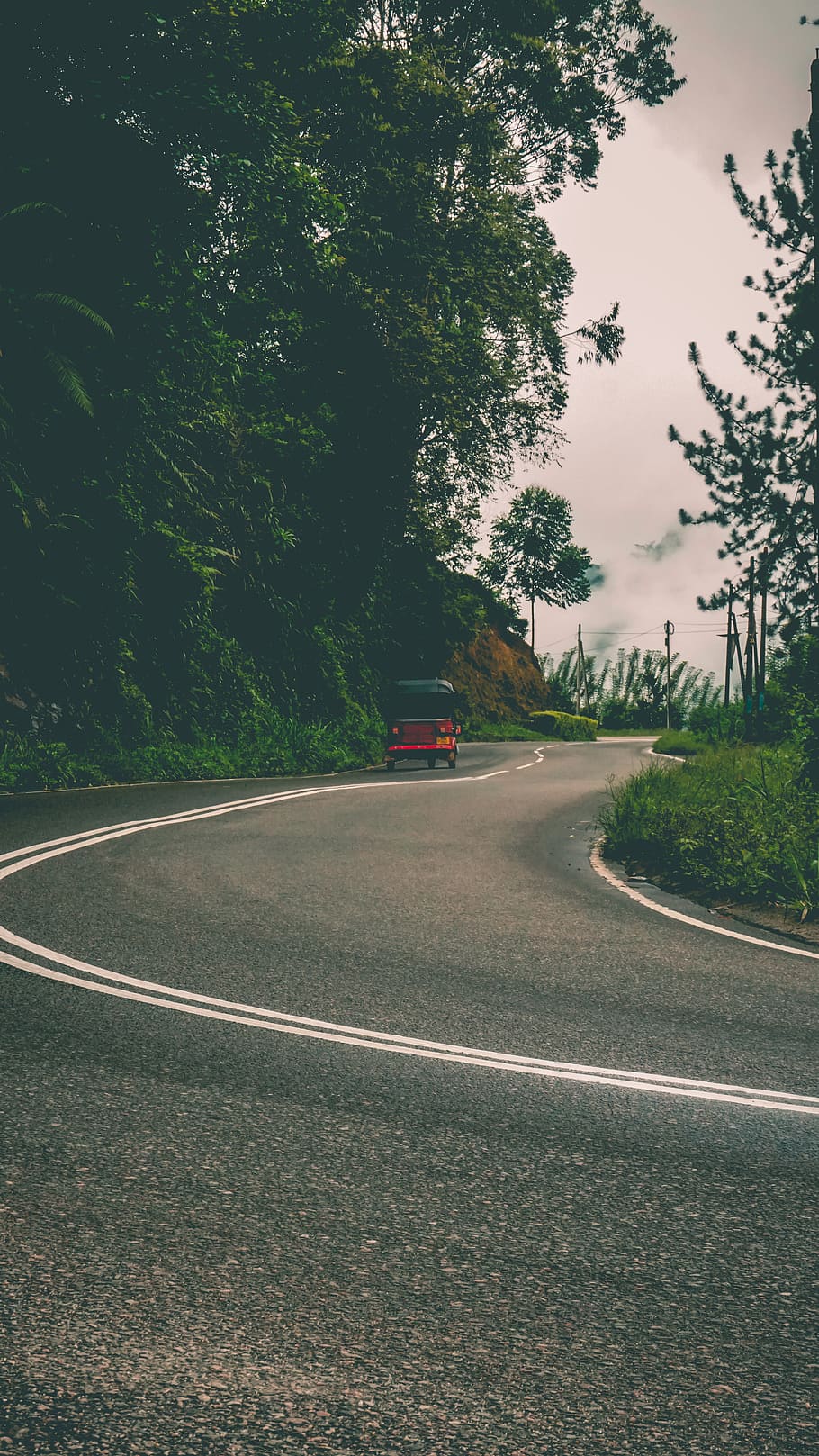 road, transport, ride, rickshaw, transportation, tree, plant HD wallpaper