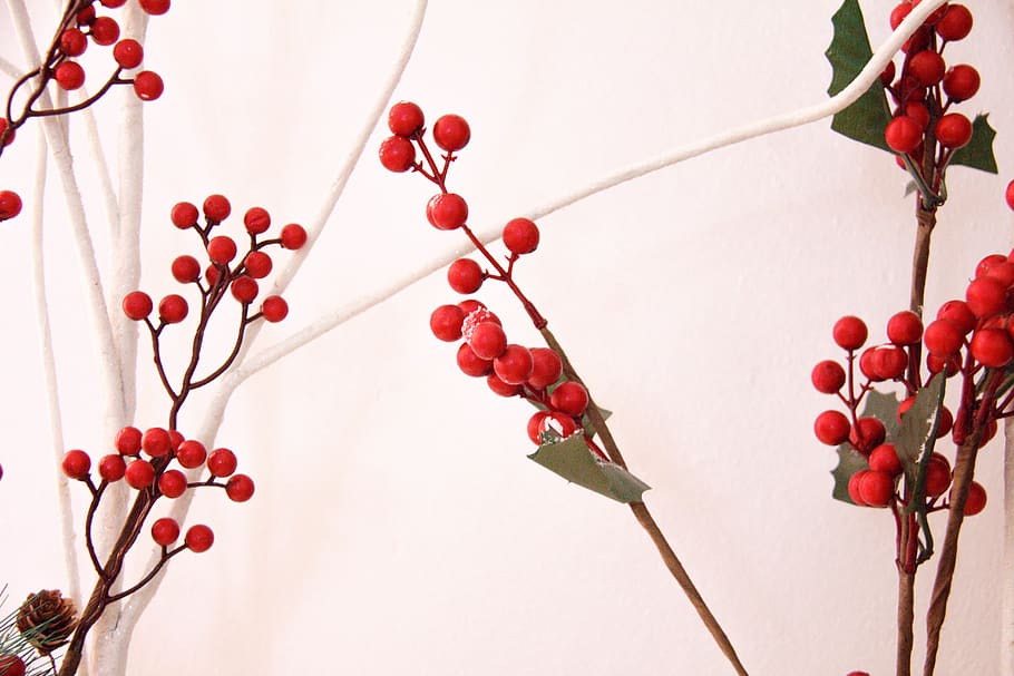 food and drink, fruit, red, healthy eating, plant, branch, berry fruit HD wallpaper