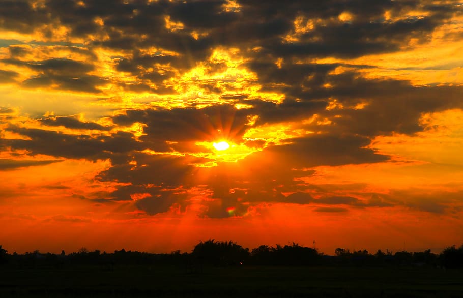 sunset, sky, background, sunrise, nature, blue, yellow, field HD wallpaper
