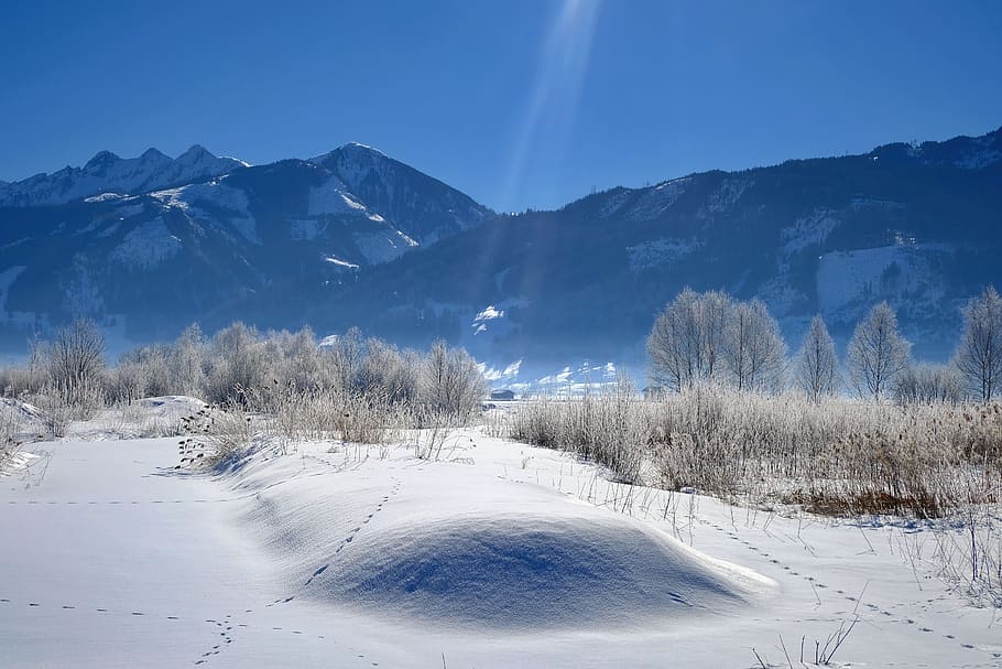 nature, landscape, wintry, winter, deep snow, dream winter HD wallpaper