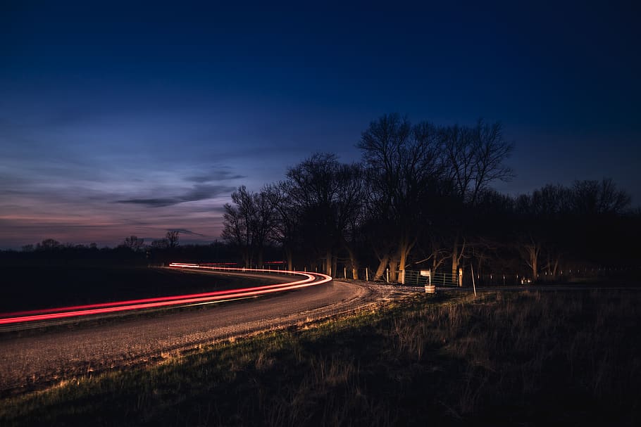 light trail, speed, tree, transportation, long exposure, sky HD wallpaper