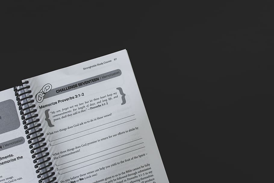 text, page, book, paper, diary, document, handwriting, id cards HD wallpaper
