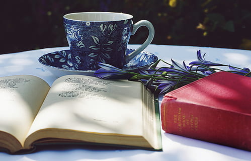 Book Opened on Top of White Table Beside Closed Red Book and Round Blue Foliage Ceramic Cup on Top of Saucer HD wallpaper