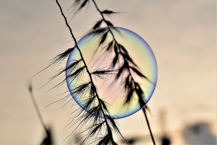 soap bubble, backlighting, mood, shimmer, rainbow colors, sunrise HD wallpaper