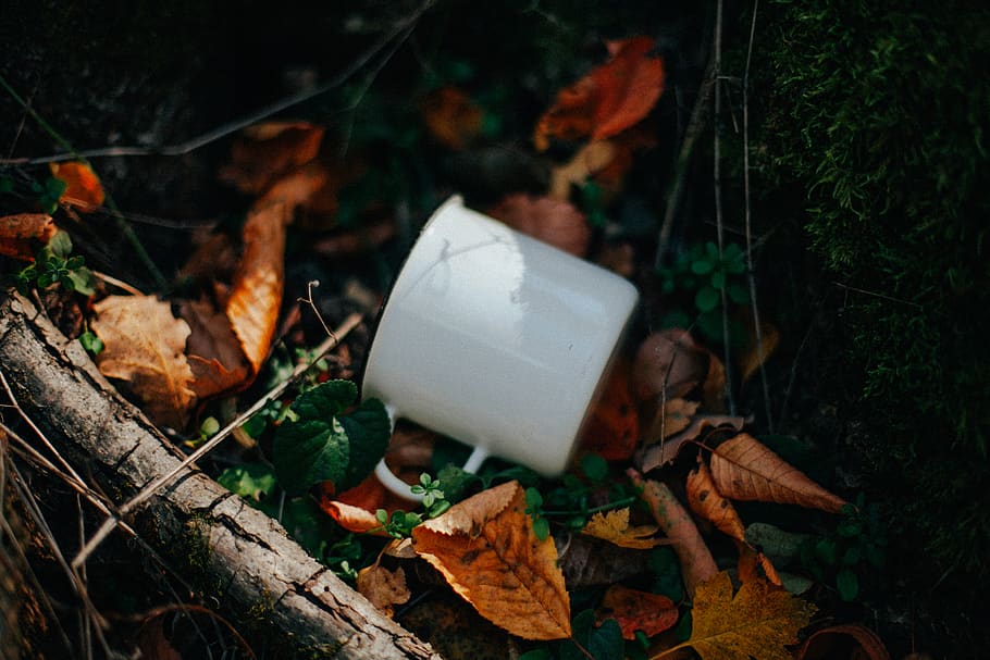 white ceramic mug, leaf, plant part, nature, autumn, no people HD wallpaper
