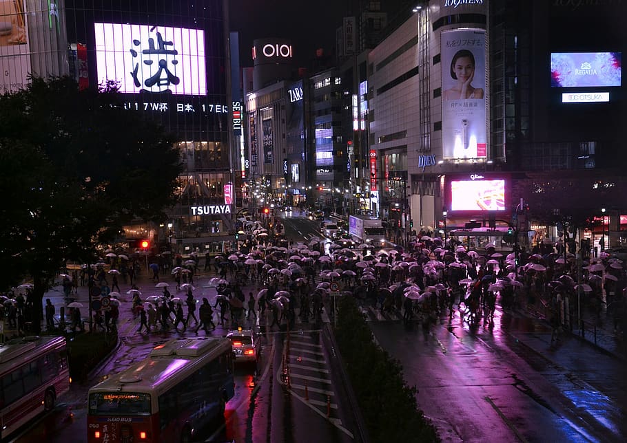 japan, shibuya, neon lights, neo tokyo, umbrellas, reflection