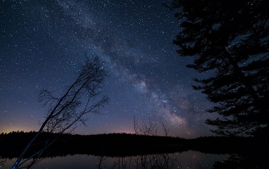 Body of Water Surrounding Trees during Night, blue, calm, dark HD wallpaper
