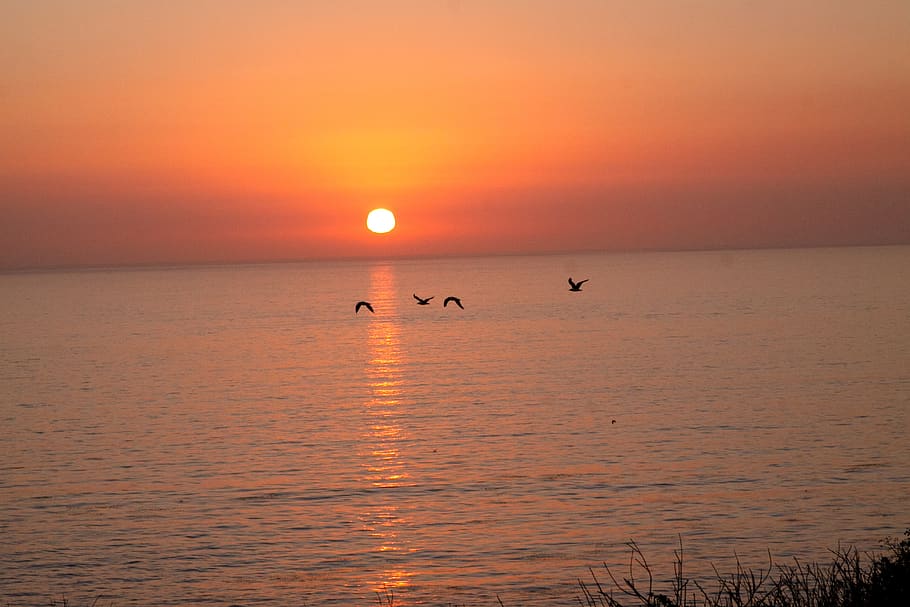 sunset, ocean, sea, sky, beach, water, dusk, sunrise, evening HD wallpaper
