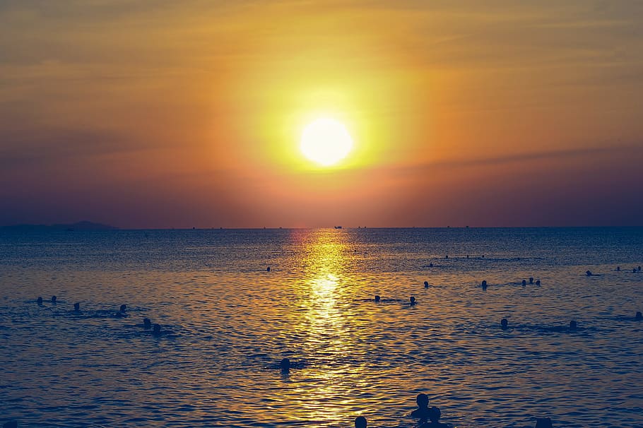 Silhouette of People Swimming in the Ocean During Sunset, beach HD wallpaper