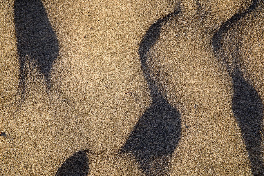 Green shadows beach