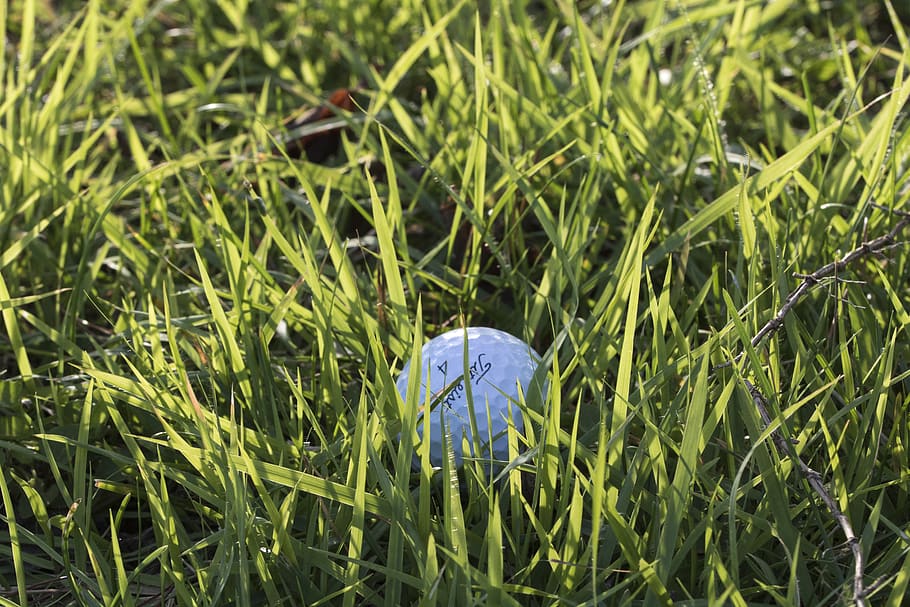 golf, green, field, grass, sport, golfers, ball, club, golf balls HD wallpaper