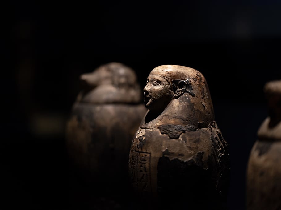 brown statue inside dark room, animal themes, animal wildlife HD wallpaper