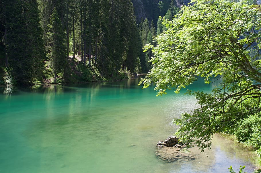 weißensee, austria, carinthia, nature, lake, mountains, tree HD wallpaper