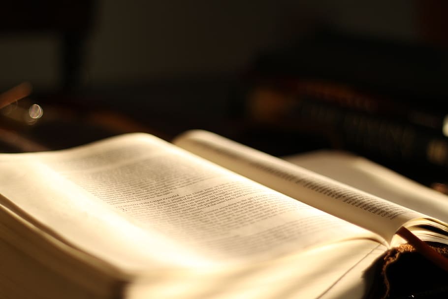 book page, study, text, bible, showdown, file binder, living bible HD wallpaper