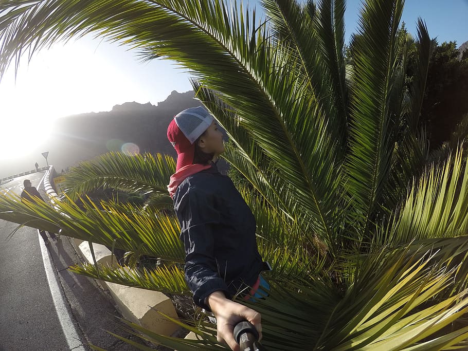 spain, tenerife, palm, one person, plant, tree, palm tree, tropical climate HD wallpaper