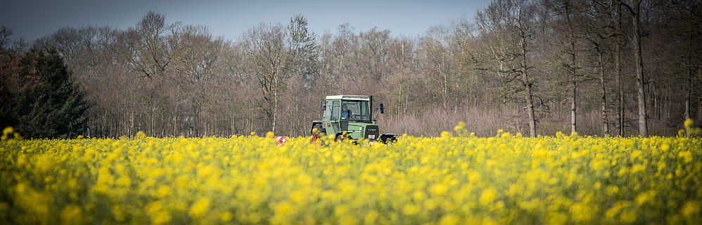 catch crop, tractor, field, grub bern, agriculture, agricultural economics HD wallpaper