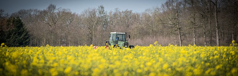 catch crop, tractor, field, grub bern, agriculture, agricultural economics HD wallpaper