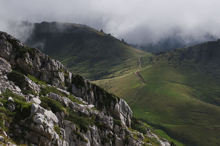 highland, mountain, trees, plants, nature, landscape, green HD wallpaper
