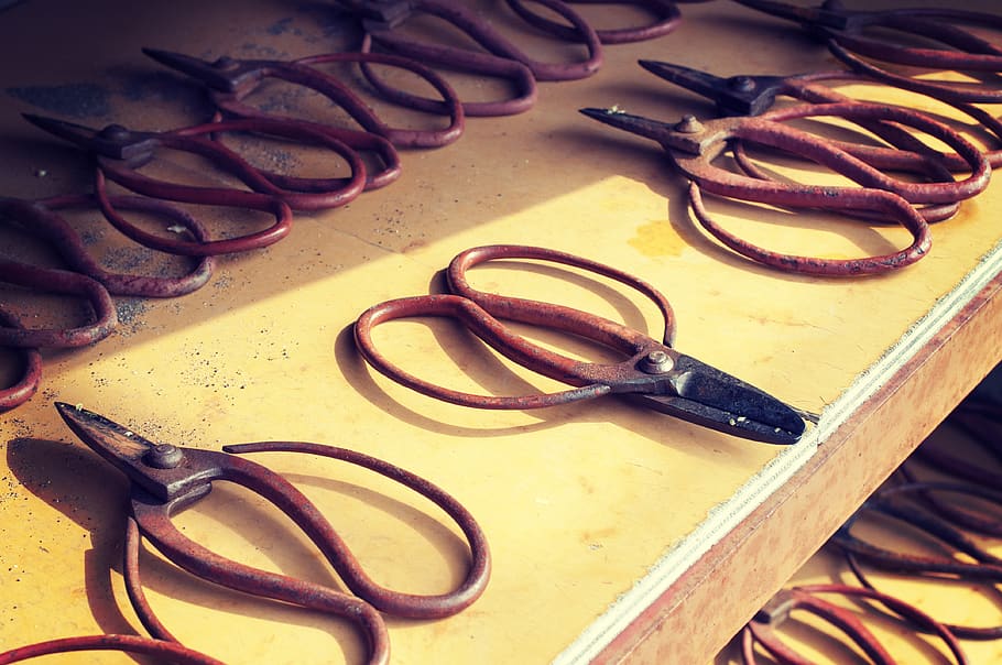 scissors, pruner, clippers, shears, red, glasses, still life HD wallpaper