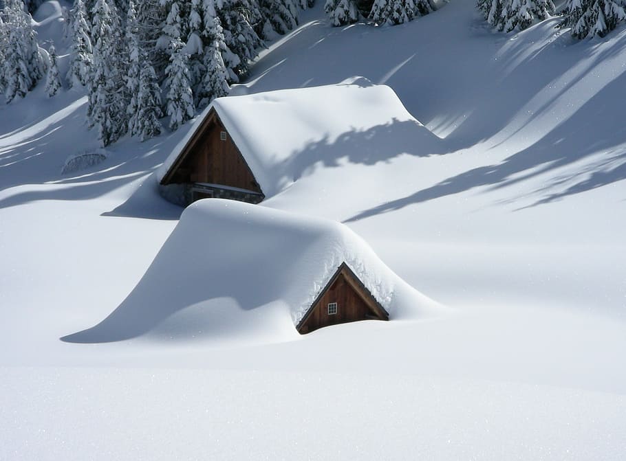 Brown Wooden House Covered With Snow Near Pine Trees, cold, snow capped HD wallpaper