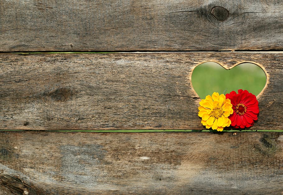 Yellow and Red Flower on Brown Heart Wooden Carved Panel, color, HD wallpaper