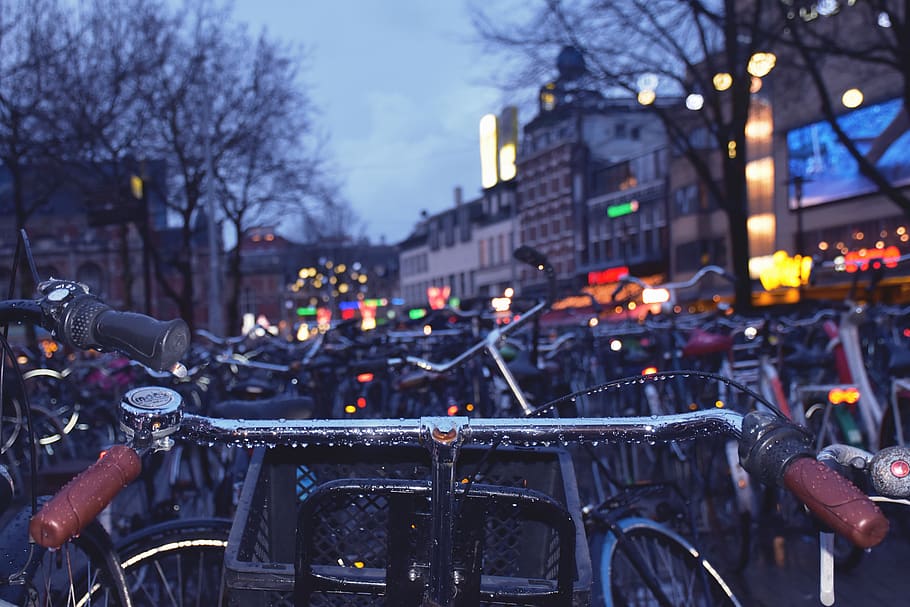 amsterdam, netherlands, light, bell, bikes, basket, cold, rain, HD wallpaper