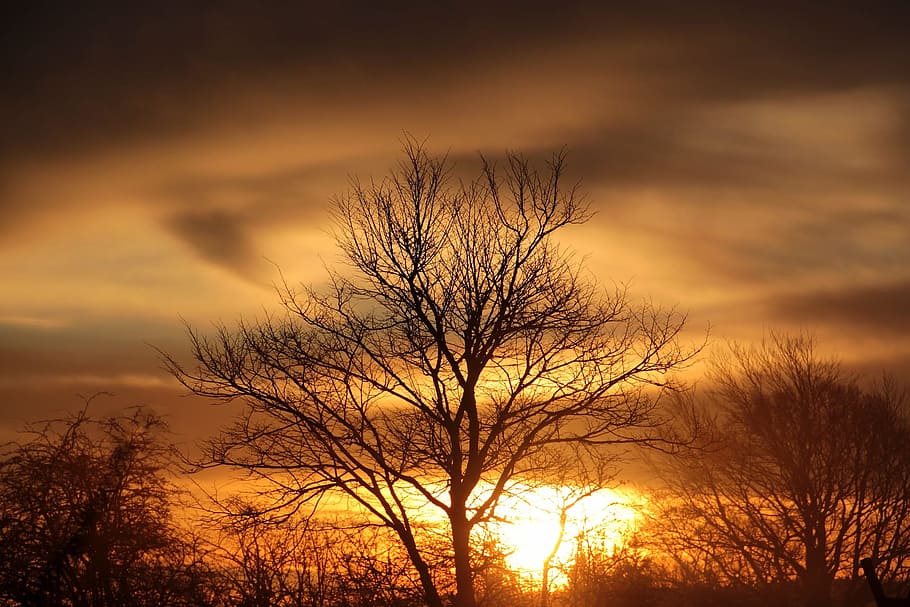 sunset, nature, eve, evening, sky, cloud - sky, silhouette HD wallpaper