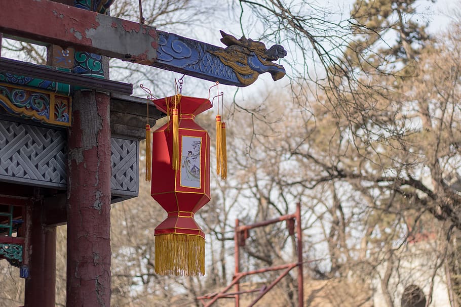china, lanterns, red, winter, rustic, nature, tree, bare tree HD wallpaper