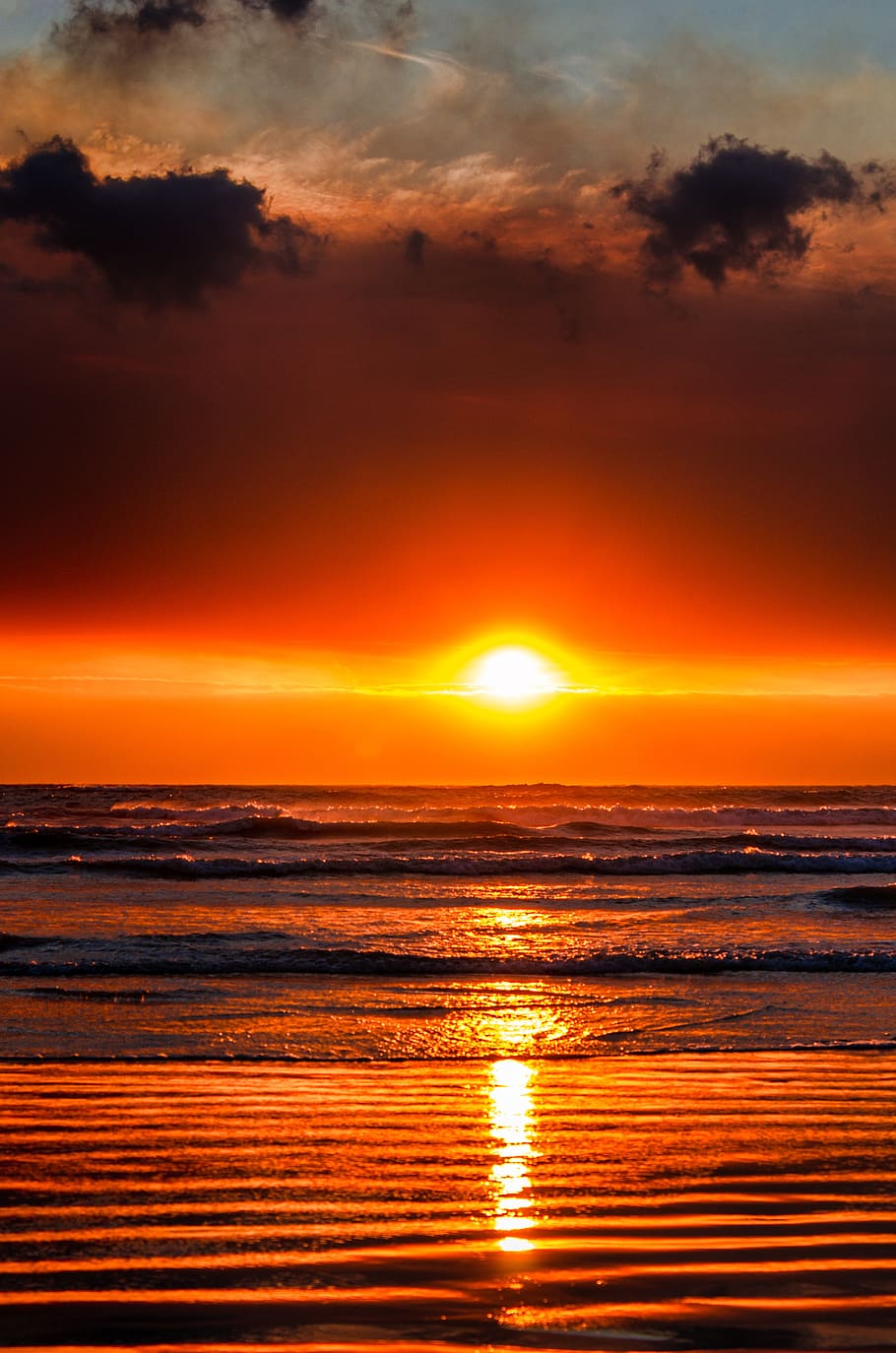 HD wallpaper: sunset, ocean, clouds, beach, sea, sky, water ...