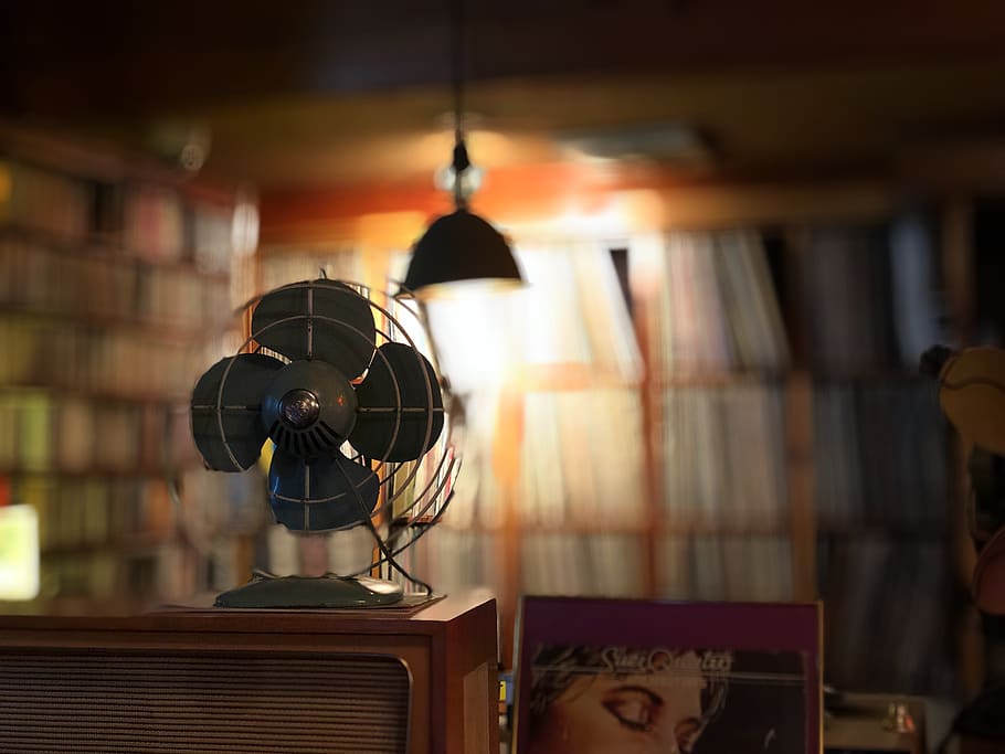 turned-off fan, south korea, dongchun-dong, head, indoors, room HD wallpaper