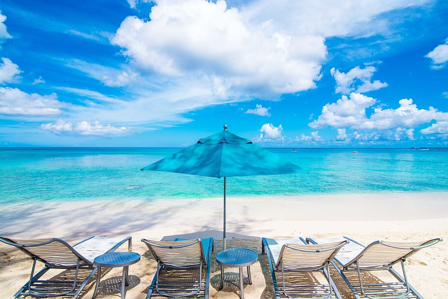 beach, playa, sand, palm tree, beach chairs, loungers, umbrella, HD wallpaper