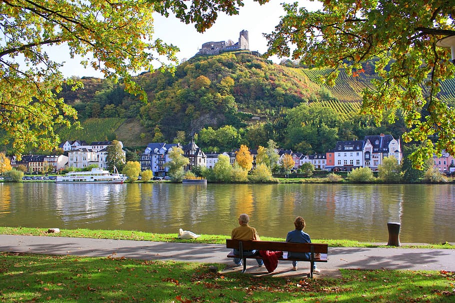 tree, nature, waters, lake, river, tourism, landscape, autumn HD wallpaper