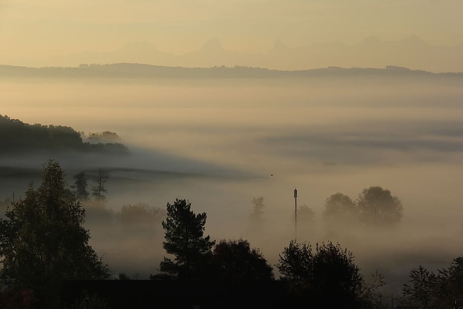 fog, mist, nature, mood, mystical, idyll, rest, lighting, dream HD wallpaper