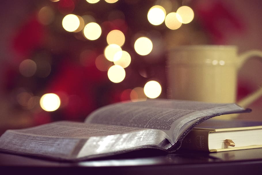 books, reading, study, learning, education, lights, blurry HD wallpaper