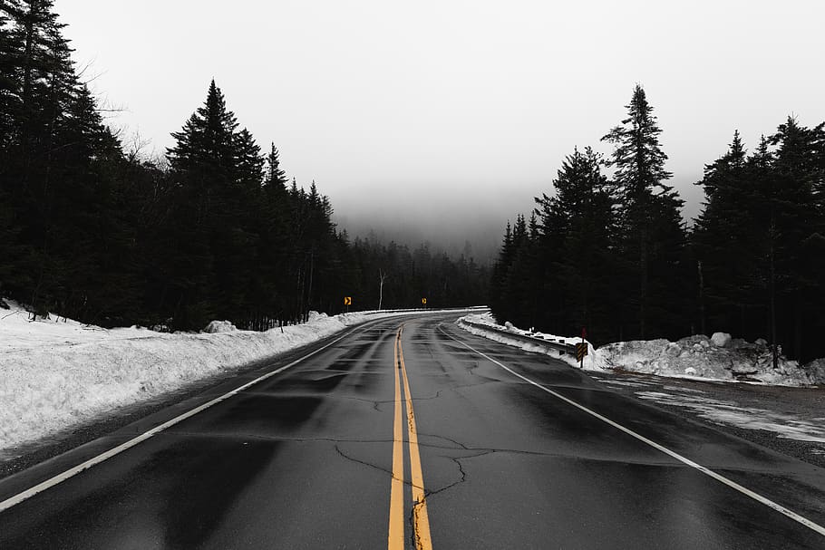 road during daytime, transportation, tree, direction, the way forward HD wallpaper