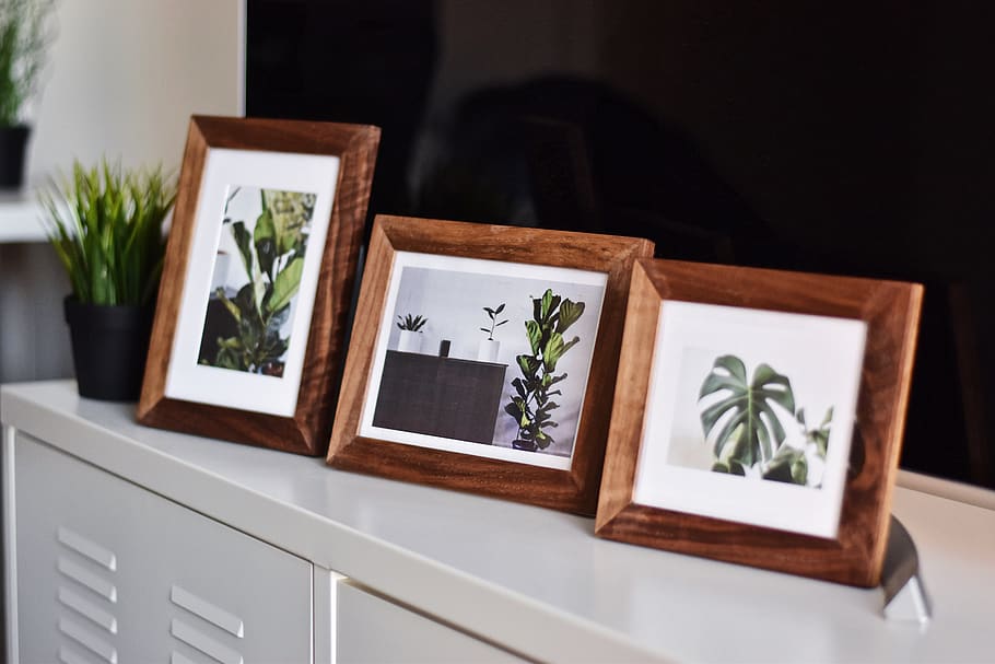 three plant photos on white metal cabinet, indoors, picture frame