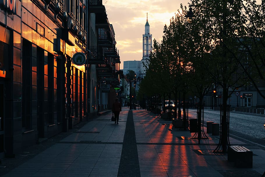 Person Walking on Gray Pavement Near Buildings during Golden Hour