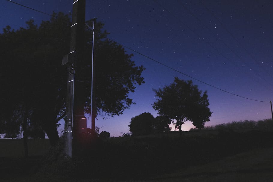 night, light, lamp post, tree, outdoors, nature, astronomy HD wallpaper