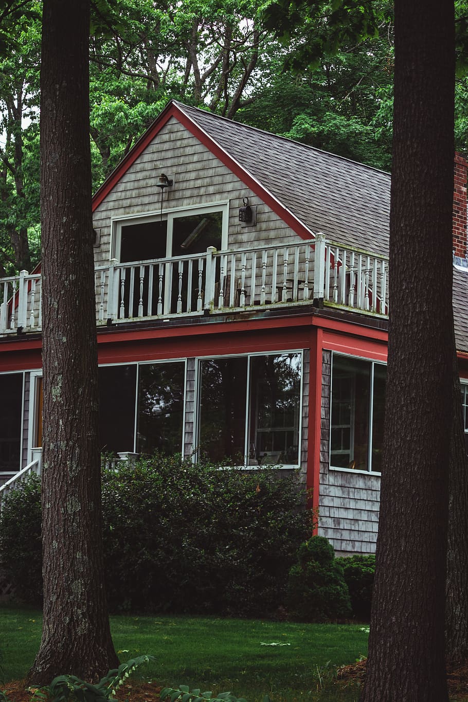 house, home, forrest, trees, back roads, cozy, wallpaper, plant HD wallpaper
