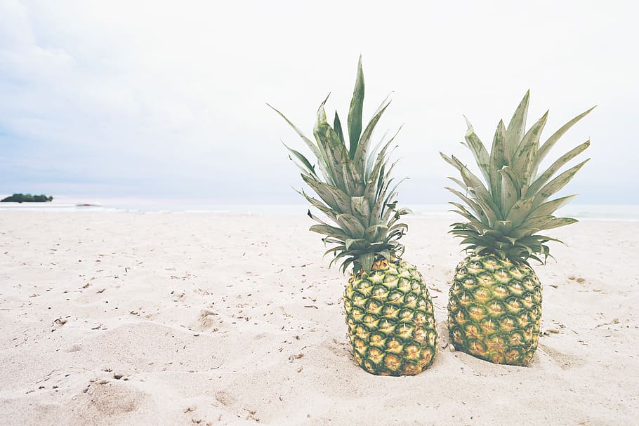 pineapple, dessert, appetizer, fruit, juice, crop, beach, ocean HD wallpaper