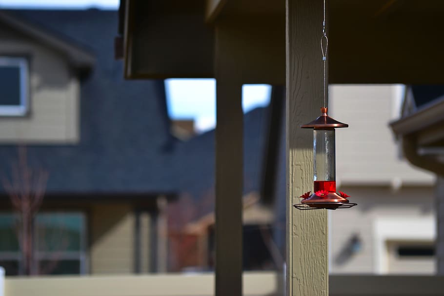 Selective Focus Photography of Hanging Decor, action, balcony HD wallpaper