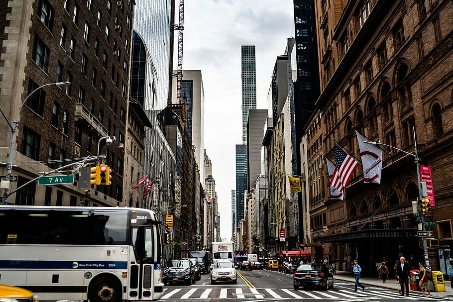 white and blue transit bus, architecture, building exterior, city HD wallpaper