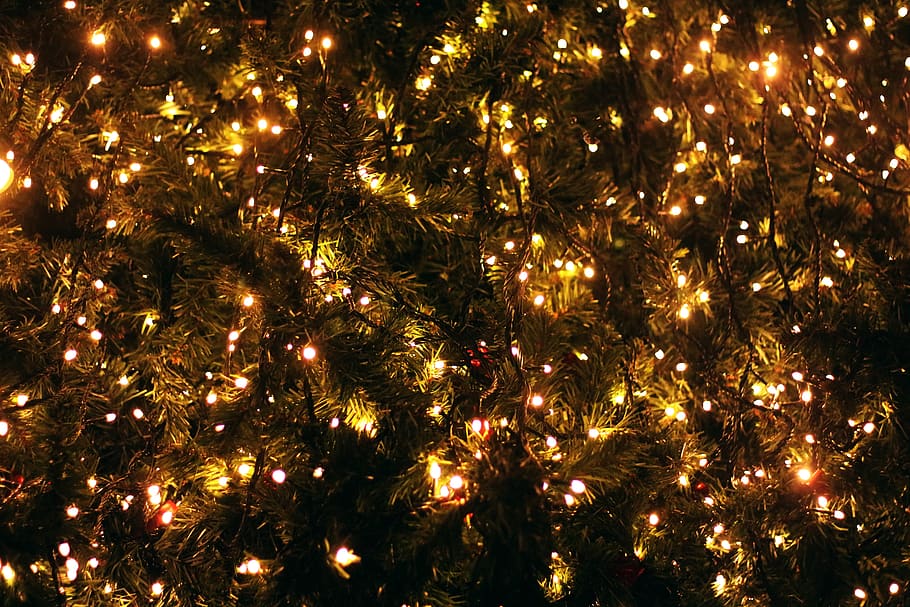 christmas, light, celebration, illuminated, christmas lights HD wallpaper